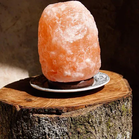 Campsite Aux Sabots De Vent Chuffilly-Roche