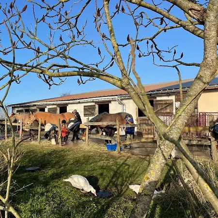 Aux Sabots De Vent Campsite Chuffilly-Roche