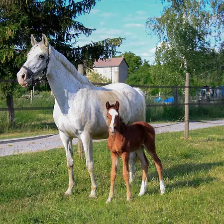 Aux Sabots De Vent Chuffilly-Roche