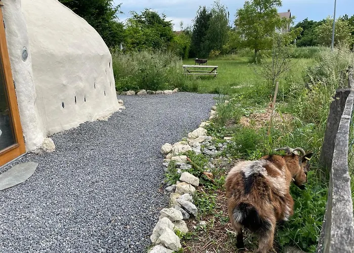 Aux Sabots De Vent Campsite Chuffilly-Roche