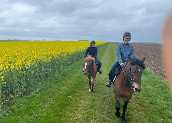 Aux Sabots De Vent Chuffilly-Roche