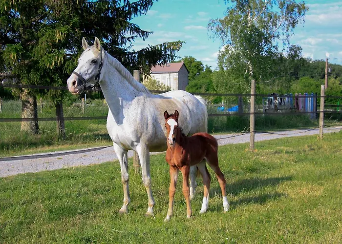 Aux Sabots De Vent Chuffilly-Roche